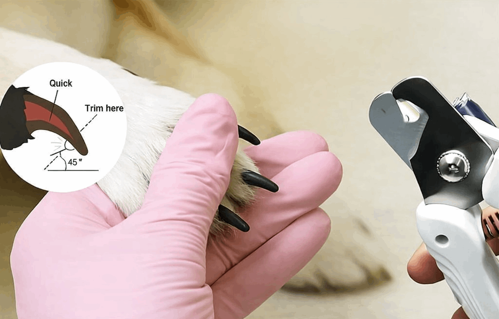 2-in-1 Pet Nail Trimmer & Grinder with LED Light