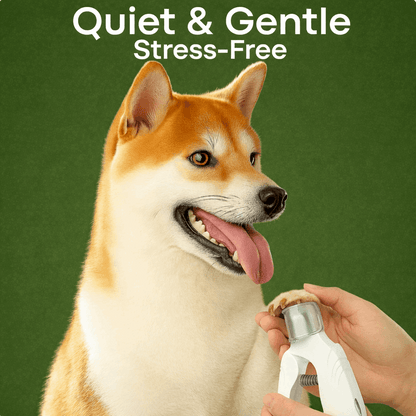 2-in-1 Pet Nail Trimmer & Grinder with LED Light