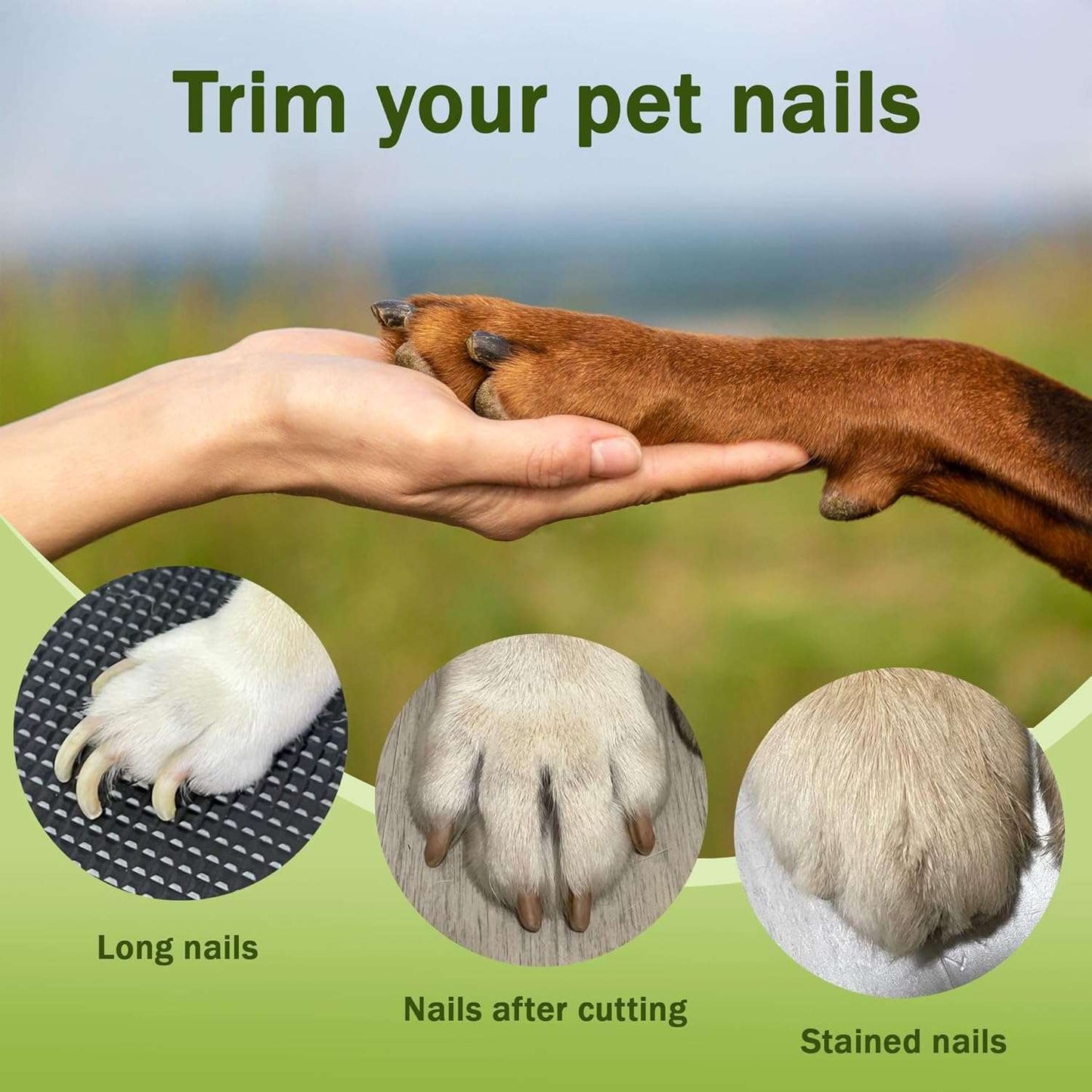 2-in-1 Pet Nail Trimmer & Grinder with LED Light