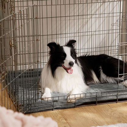 Self-Warming Pet Mat for Dogs &amp; Cats｜Buy 1 Get 1 Free