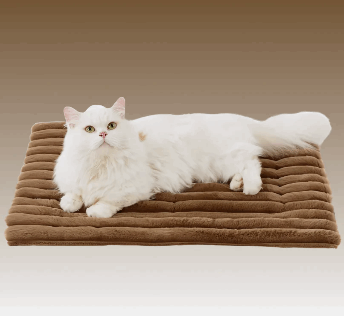 Self-Warming Pet Mat for Dogs &amp; Cats｜Buy 1 Get 1 Free